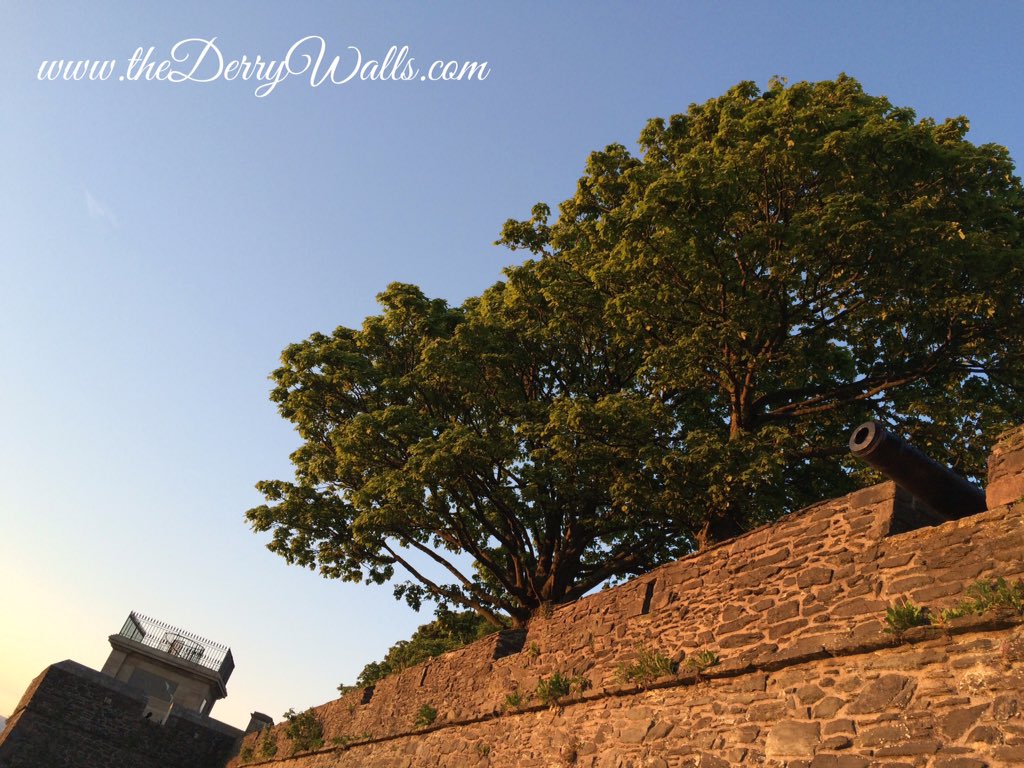 Bomen op de Derry Walls (c) TheDerryWalls.com