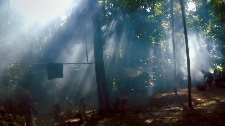 Poëzie en reflectie in IDFA-winnaar Song from the Forest