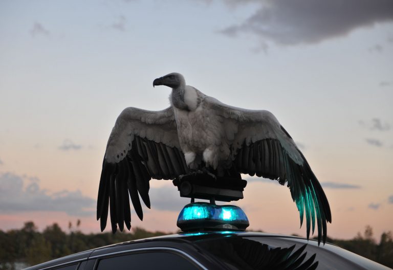 Worstelen met River of Fundament - grandioze recycle-opera die niet van ophouden weet