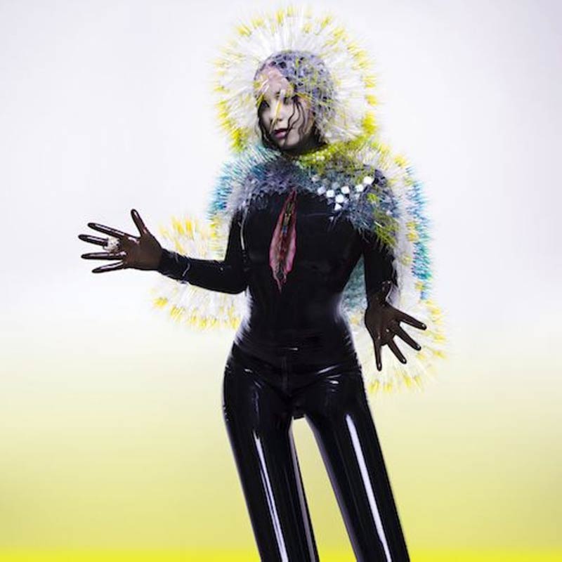 Björk - Vulnicura album cover