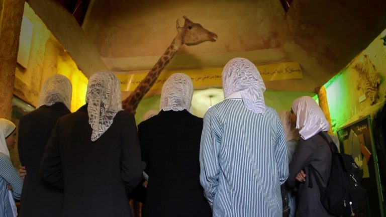 Film tip: Waiting for Giraffes - how political is a Palestinian zoo?