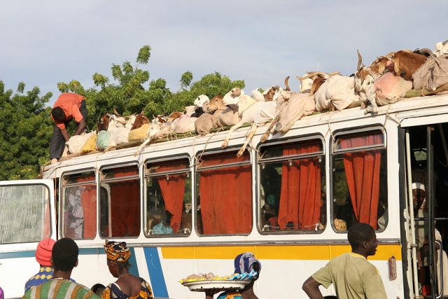 1024px-Mali_-_Goats_on_tour
