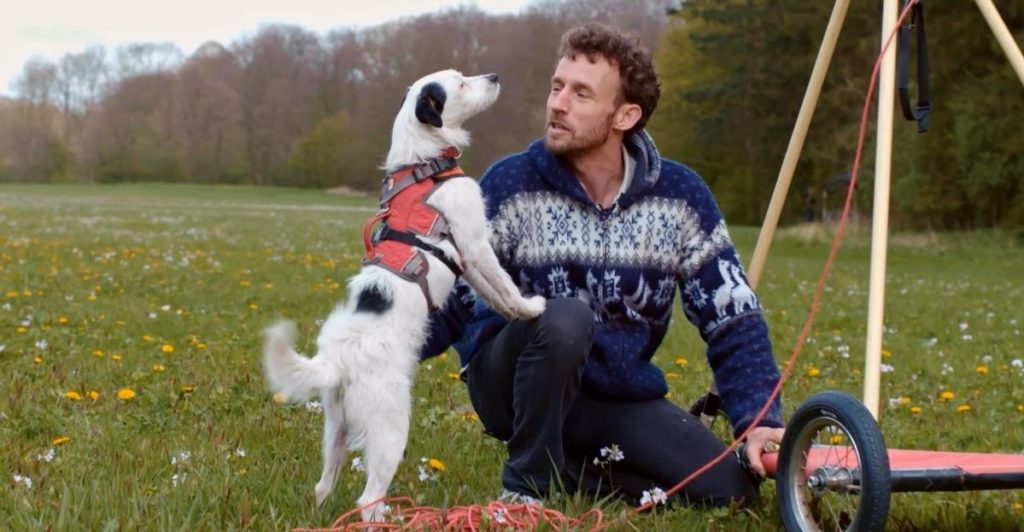 Een hond die moet vliegen, met de stem van Frans Bromet. Johannes Hogebrink houdt van documentaires waarbij je je achter het oor moet krabben
