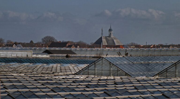 IN PERSPECTIEF #24: EEN MANNENKOOR IN HET BIM HUIS